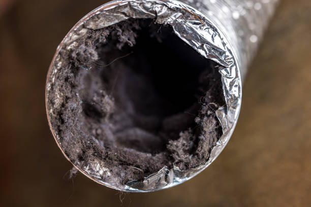 Best General Air Duct Cleaning  in Bellemont, AZ