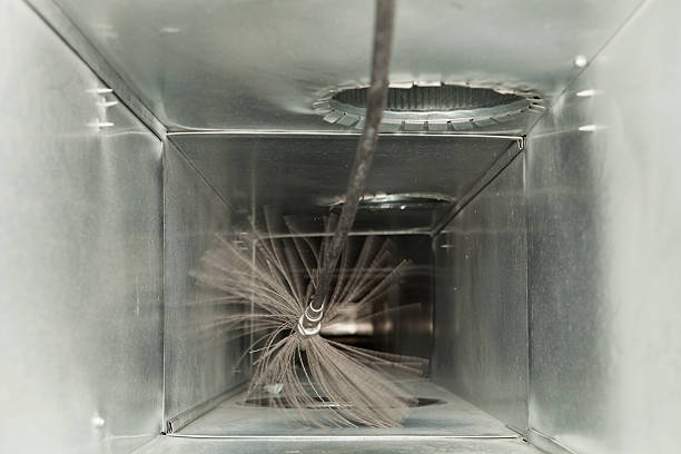 Air Duct Mold Removal in Bellemont, AZ