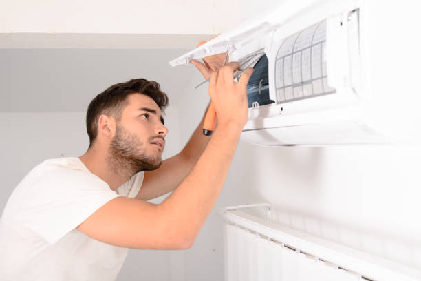 Best Air Duct Mold Removal  in Bellemont, AZ